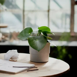 گلدان پلاستیکی طرح بتنی ۱۲ سانتیمتر IKEA NYPON