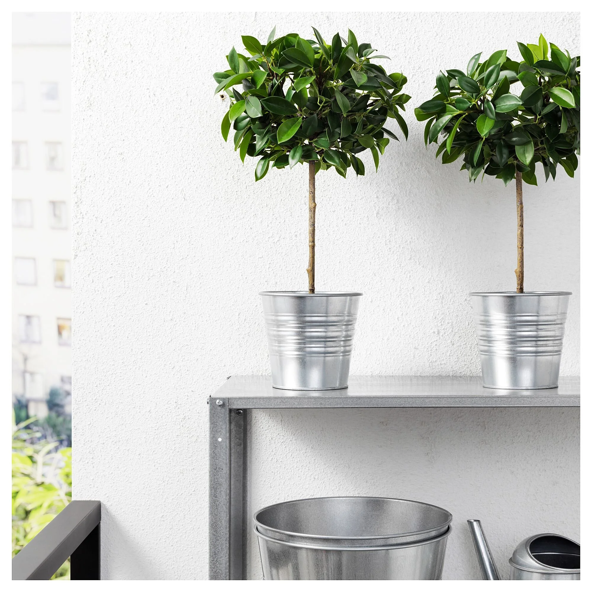 گیاه توپی بلند همراه با گلدان پلاستیکی ایکیا مدل IKEA FEJKA گیاه توپی بلند همراه با گلدان پلاستیکی ایکیا مدل IKEA FEJKA