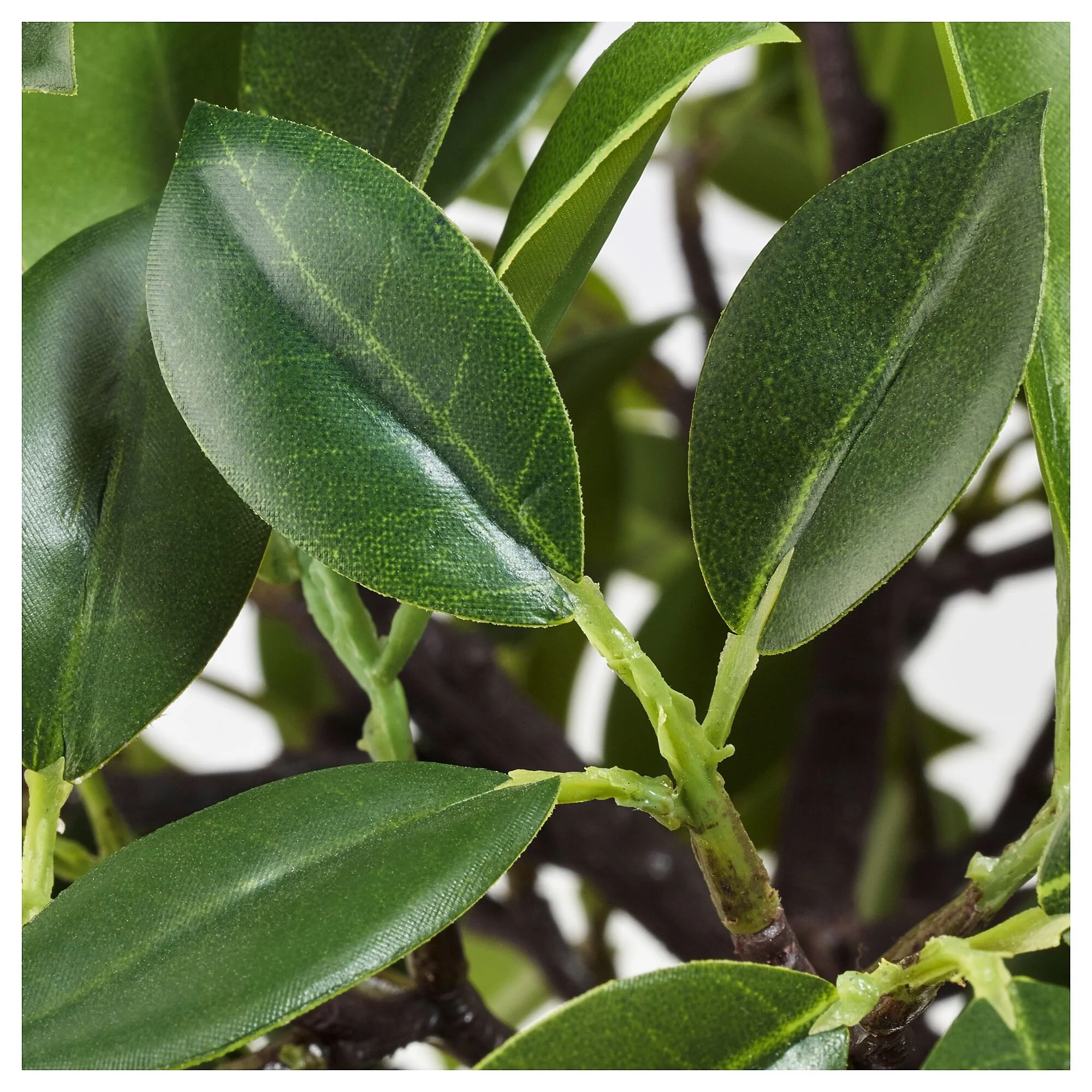 گیاه توپی بلند همراه با گلدان پلاستیکی ایکیا مدل IKEA FEJKA گیاه توپی بلند همراه با گلدان پلاستیکی ایکیا مدل IKEA FEJKA