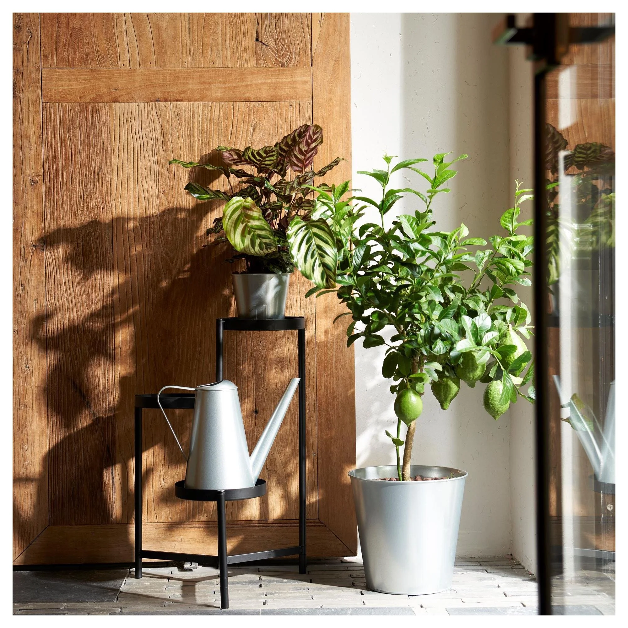 گلدان فلزی نقره ای 12 سانتیمتری ایکیا IKEA ÅKERBÄR گلدان فلزی نقره ای 12 سانتیمتری ایکیا IKEA ÅKERBÄR