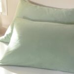 روبالشی دو عددی