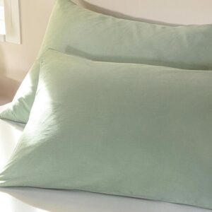 روبالشی دو عددی