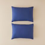 روبالشی دو عددی